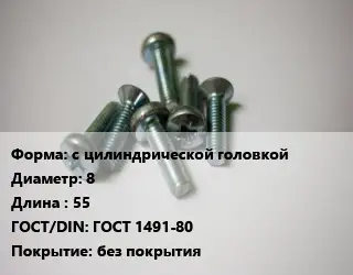 Винт с цилиндрической головкой 8х55 ГОСТ 1491-80 без покрытия
